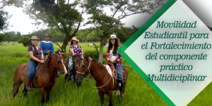 Prueba Piloto De Movilidad Estudiantil para el Fortalecimiento del Componente Práctico Multidisciplinar