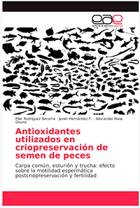Libro 200