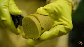 En la UNAD crean suplemento para abejas que mitigaría el peligro de su extinción