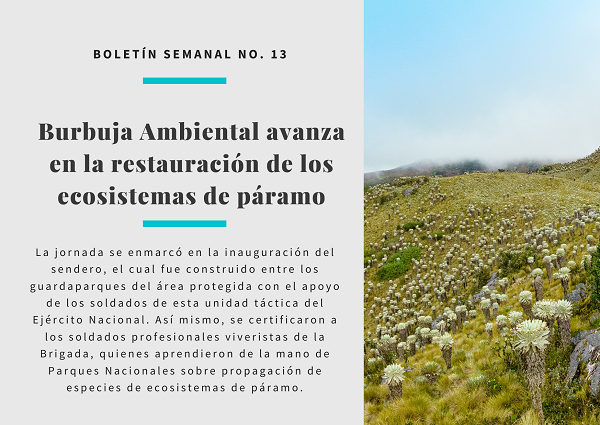 Noticia.BoletinSemanal13.1