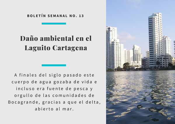 Noticia.BoletinSemanal13.2