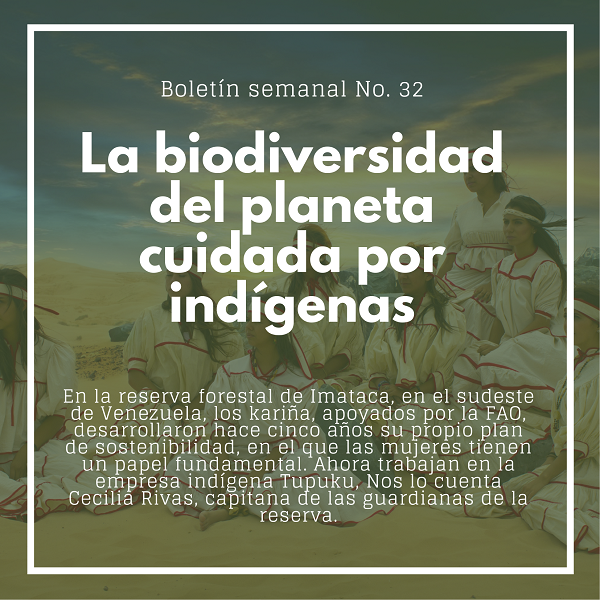 Noticia1 Ambientalex 1208
