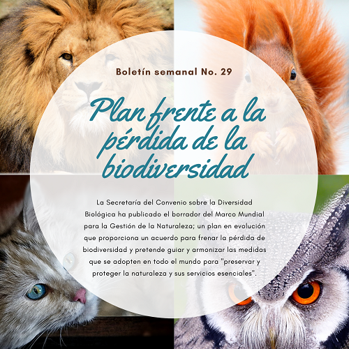 Noticia1 Ambientalex 1907