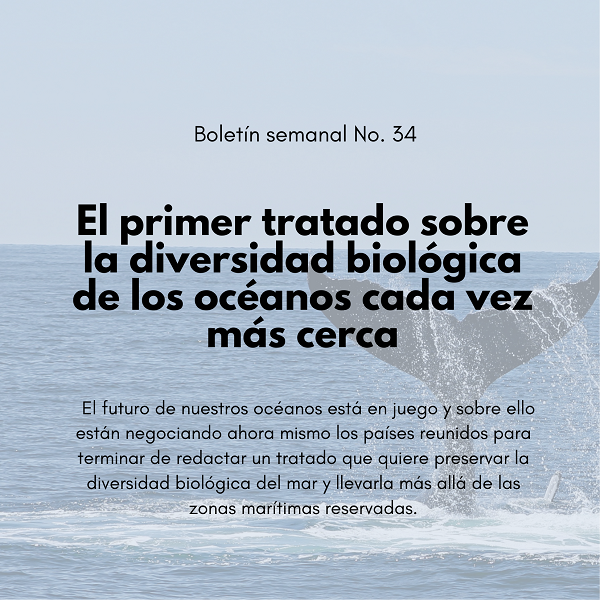 Noticia1 Ambientalex 2208