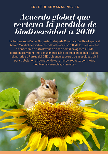Noticia1 Ambientalex 3008