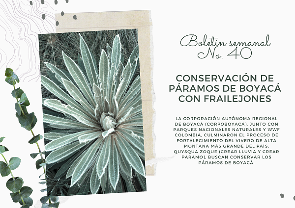 Noticia2 Ambientalex 1004