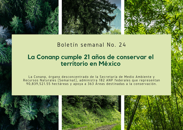 Noticia2 Ambientalex 1506