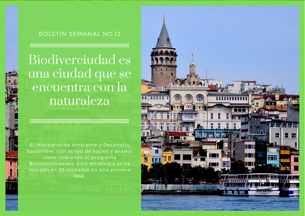 Noticia2 Ambientalex 1507