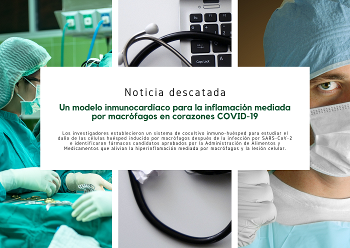 Noticia2 OVID 1207