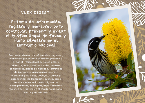 Noticia2 vLex 0809