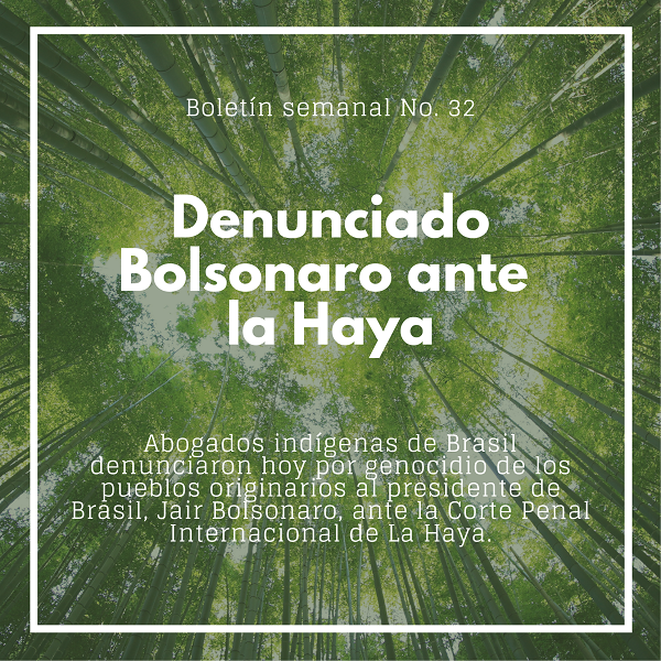 Noticia3 Ambientalex 1208