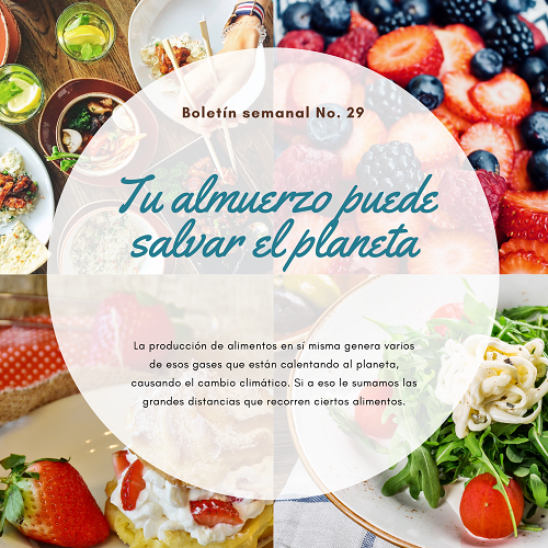 Noticia3 Ambientalex 1907