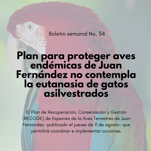 Noticia3 Ambientalex 2208