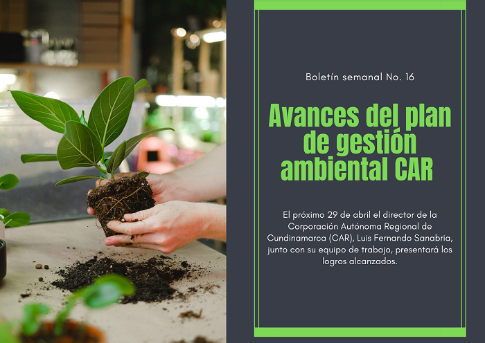 Noticia3 amb