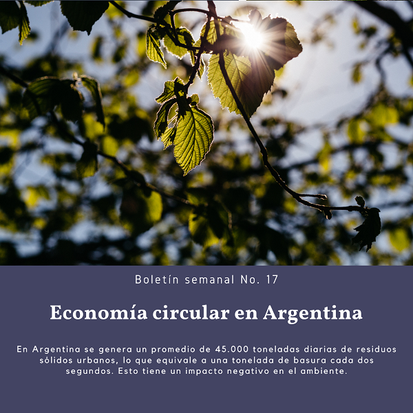 Noticia 2
