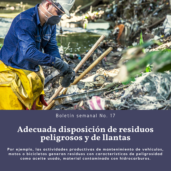Noticia 3