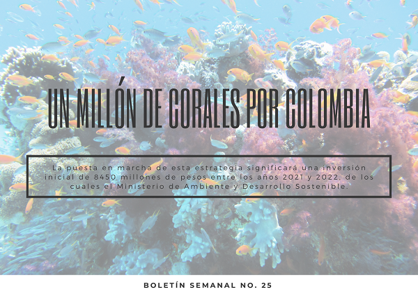 Noticia Ambientalex3 2206