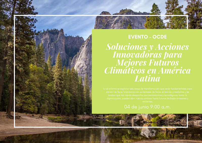 Noticia OCDE 0206
