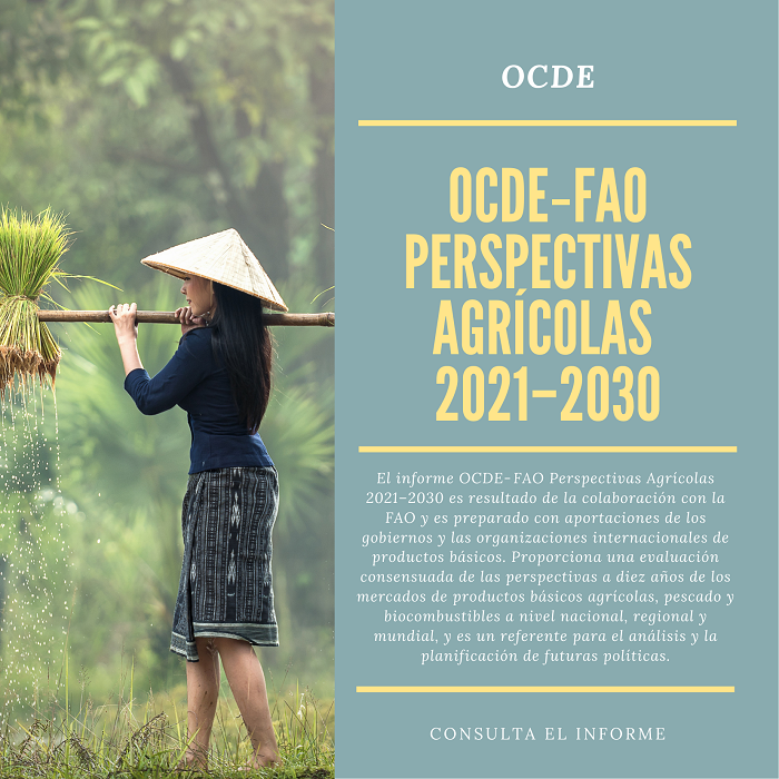 Noticia OCDE 0807