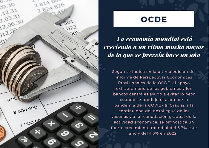 Noticia OCDE 0924