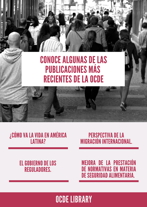 Noticia OCDE 1104