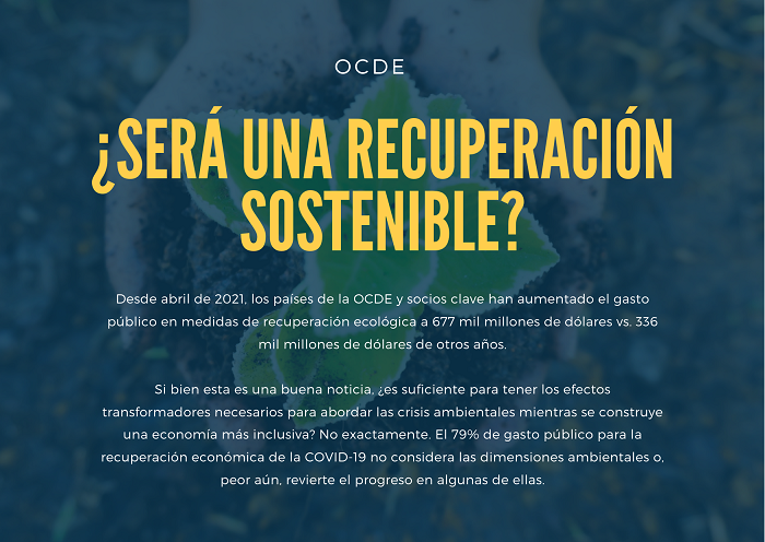 Noticia OCDE 1105