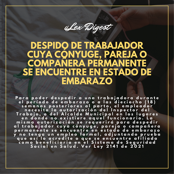 Noticia vLex 0913