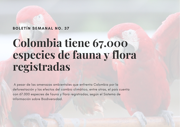 Noticia1 Ambientalex.info 1209