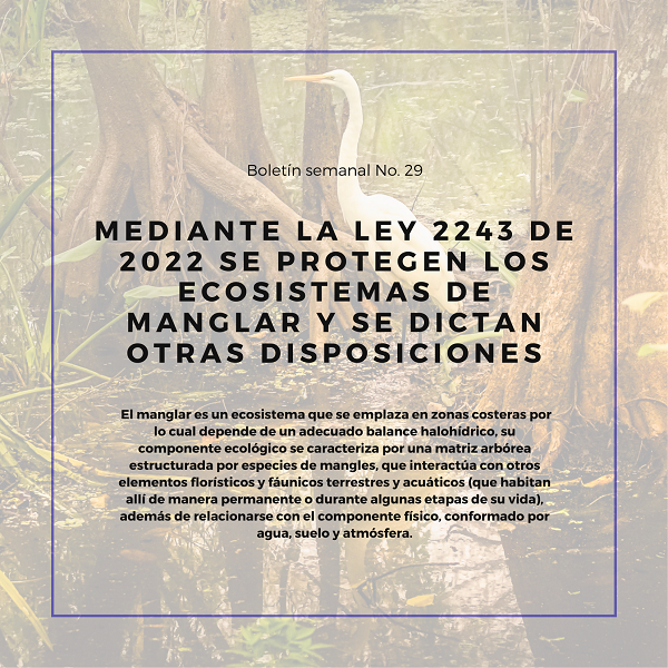 Noticia1 Ambientalex 1807