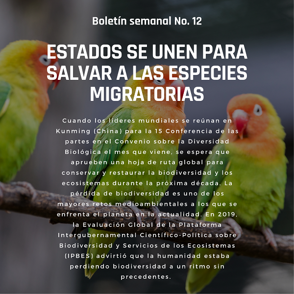 Noticia1 Ambientalex 2203