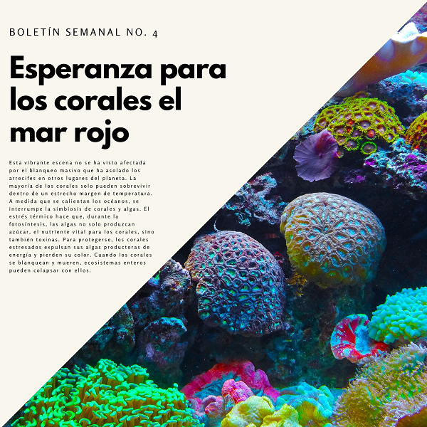 Noticia1 Ambientalex 2401