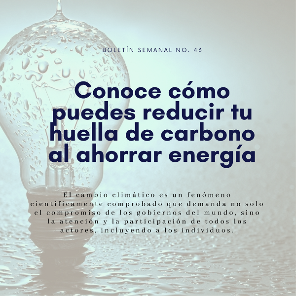 Noticia1 Ambientalex 2410