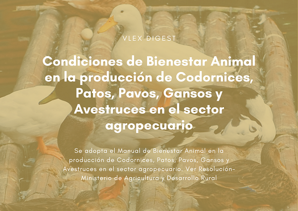 Noticia1 vLex 2907