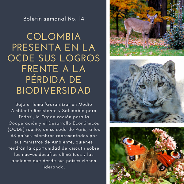 Noticia2 Ambientalex 0404