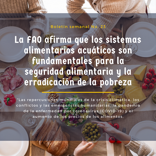 Noticia2 Ambientalex 0806