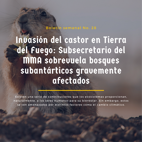Noticia2 Ambientalex 1107