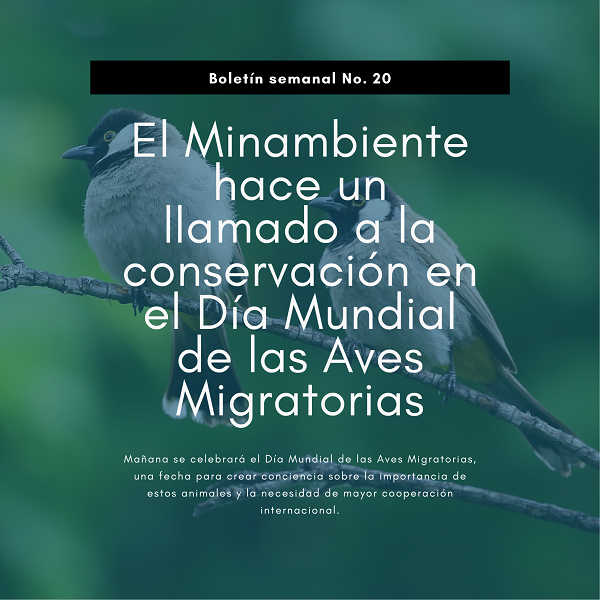 Noticia2 Ambientalex 1705