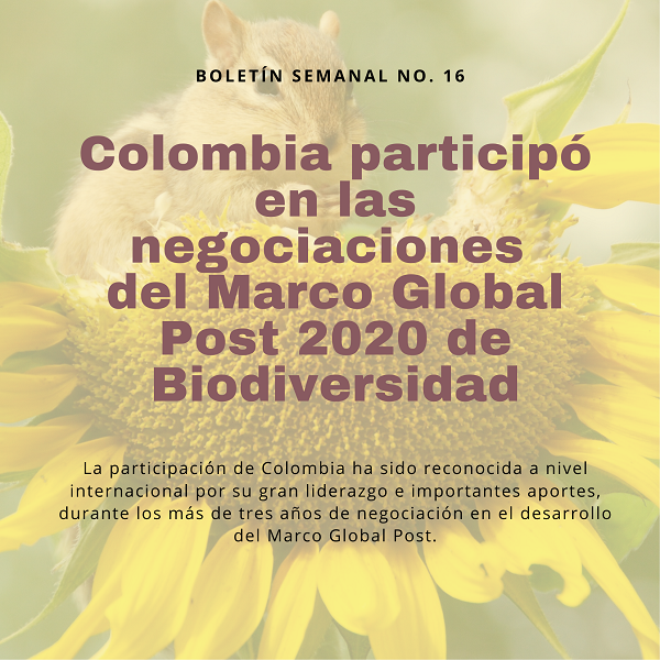 Noticia2 Ambientalex 1904
