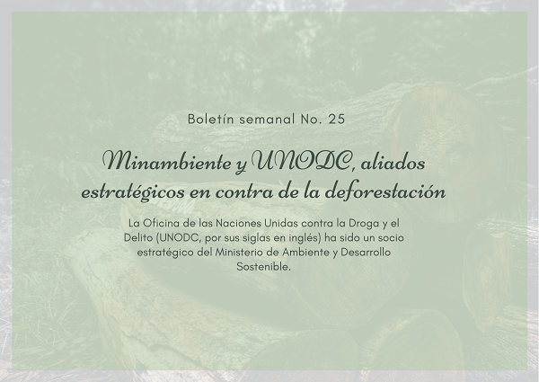 Noticia2 Ambientalex 2106
