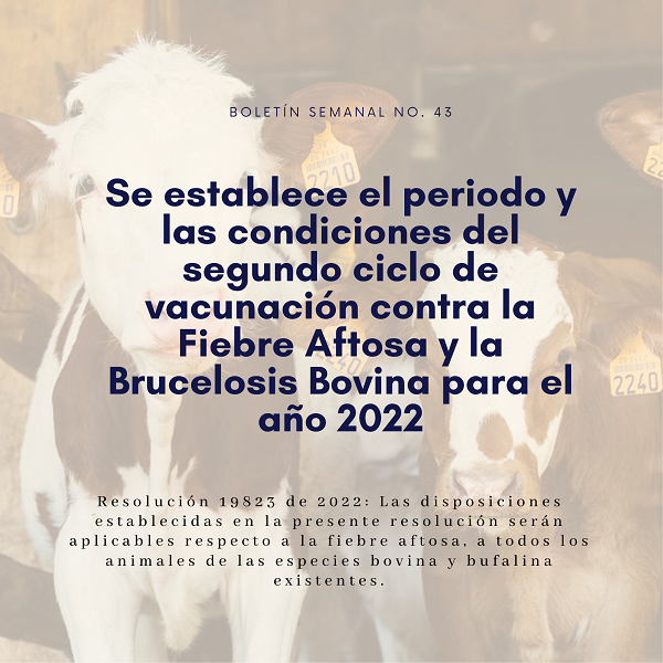 Noticia2 Ambientalex 2410