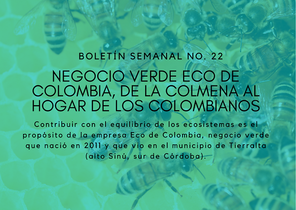 Noticia2 Ambientalex 3105