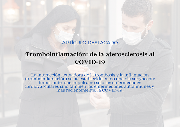 Noticia2 OVID 2507