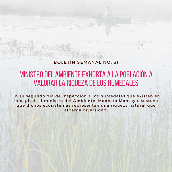 Noticia3 Ambientalex 0108