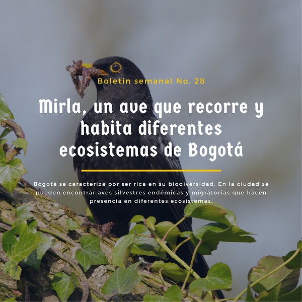 Noticia3 Ambientalex 1107