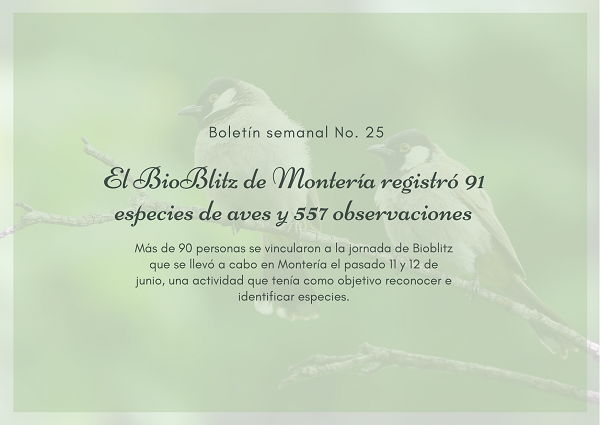 Noticia3 Ambientalex 2106