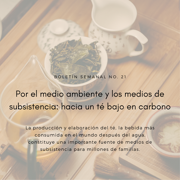 Noticia3 Ambientalex 2305