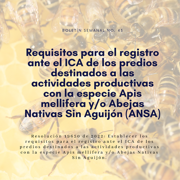 Noticia3 Ambientalex 2410