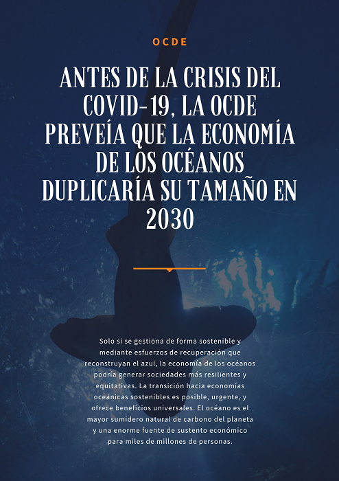 Noticia OCDE 0806