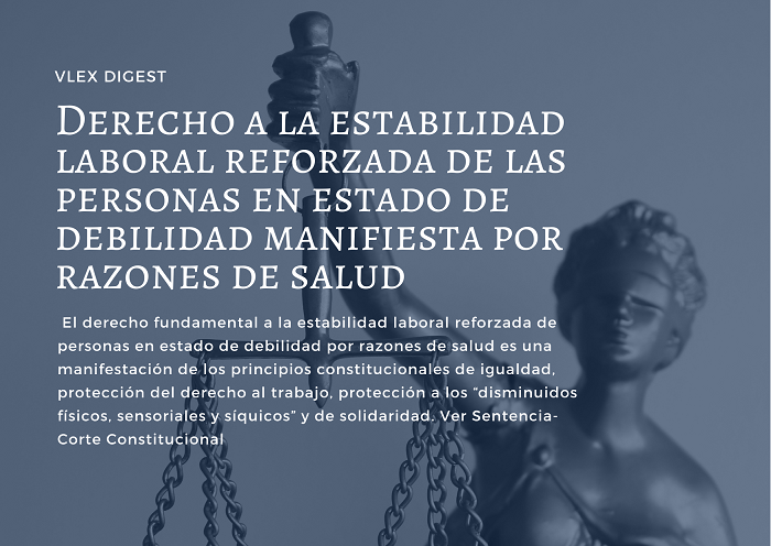 Noticia vLex 0803