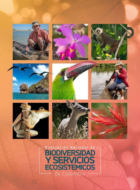 bio.png